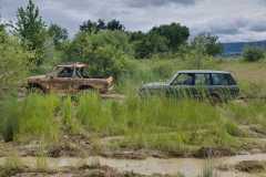 IMG-20240625-WA0016