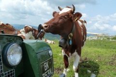 167_3_p1030188-500x480