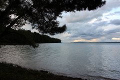 IMG_6399